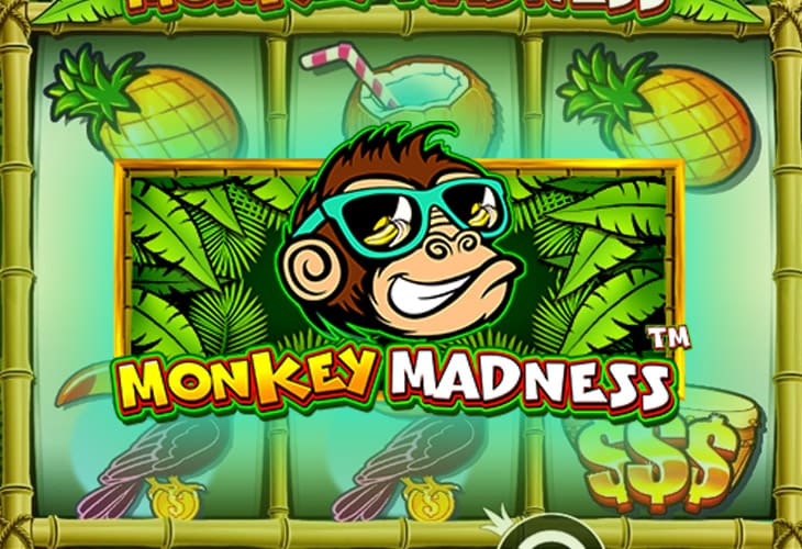 Monkey Madness - Pragmatic Play slot at Casino K Casino